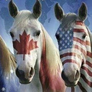 Meet your Posher, Darlene